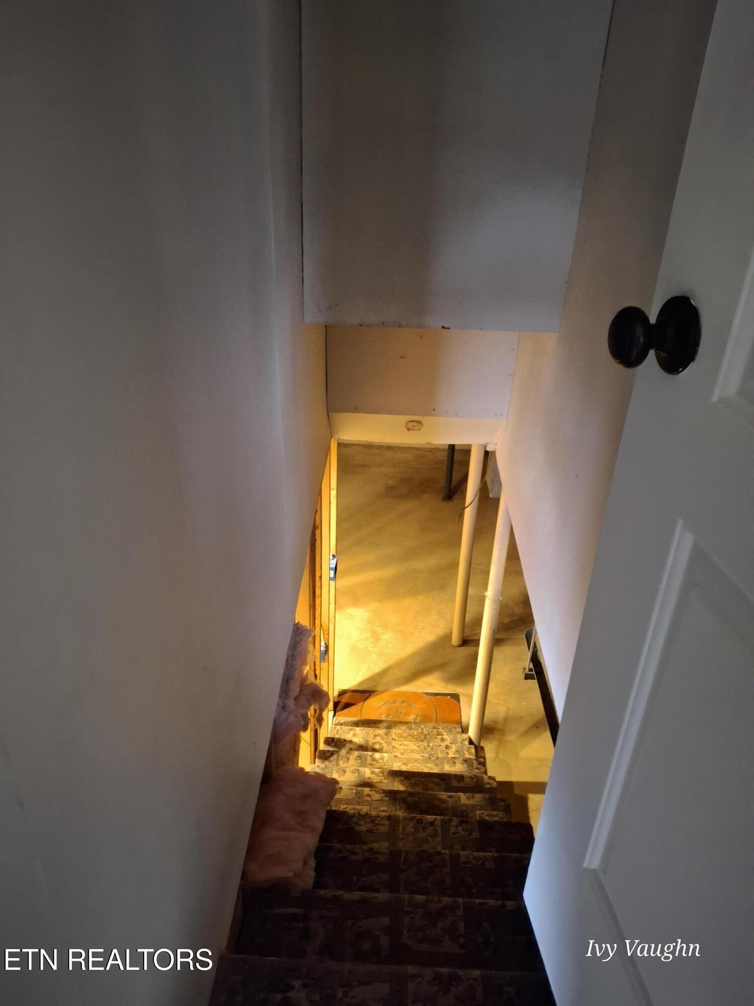 893 Brushy Valley Road Heiskell, TN 37754 - Photo 24 of 28 a view of a staircase