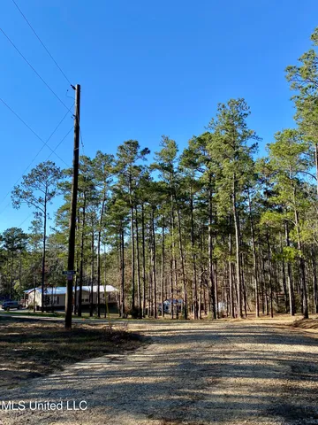 $289,900 | 71 Bear Drive, Carriere, MS 39426