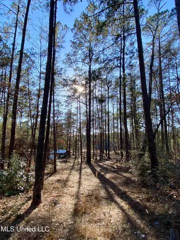 $289,900 | 71 Bear Drive, Carriere, MS 39426