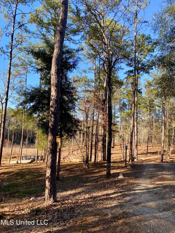 $289,900 | 71 Bear Drive, Carriere, MS 39426