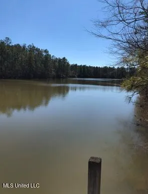 $282,400 | 18 Eagle Drive, Carriere, MS 39426