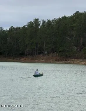 $289,900 | 71 Bear Drive, Carriere, MS 39426