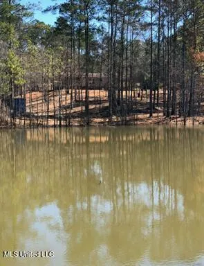 $282,400 | 18 Eagle Drive, Carriere, MS 39426