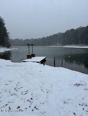 $289,900 | 71 Bear Drive, Carriere, MS 39426