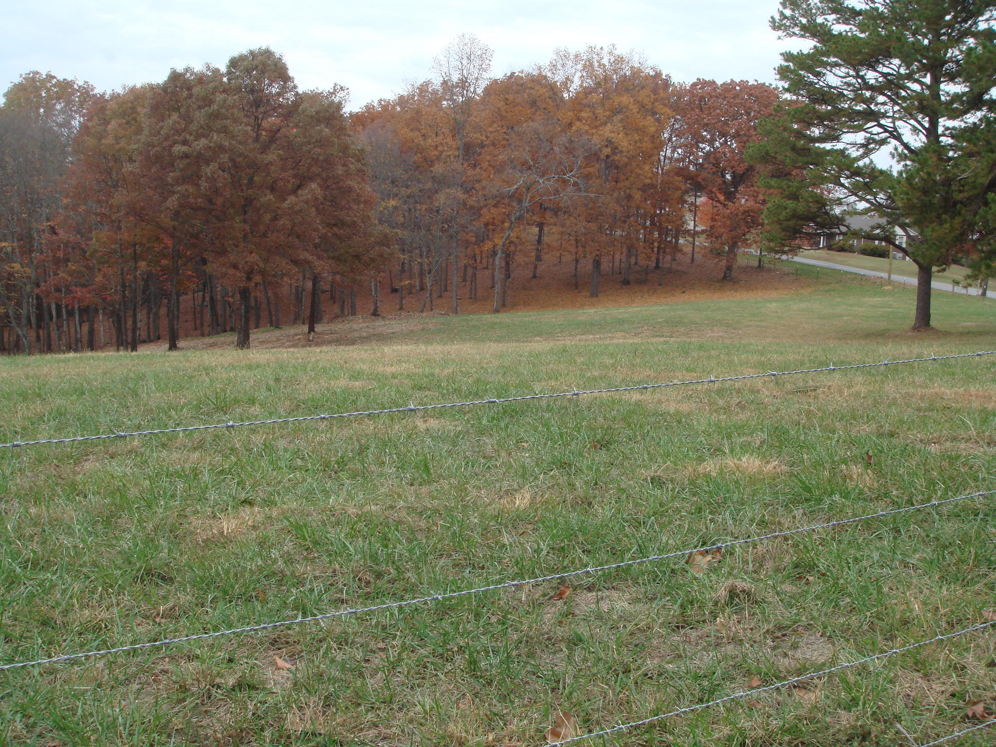 0 Watt Cemetery Road Loudon, TN 37774 - Photo 3 of 23 DSC02196