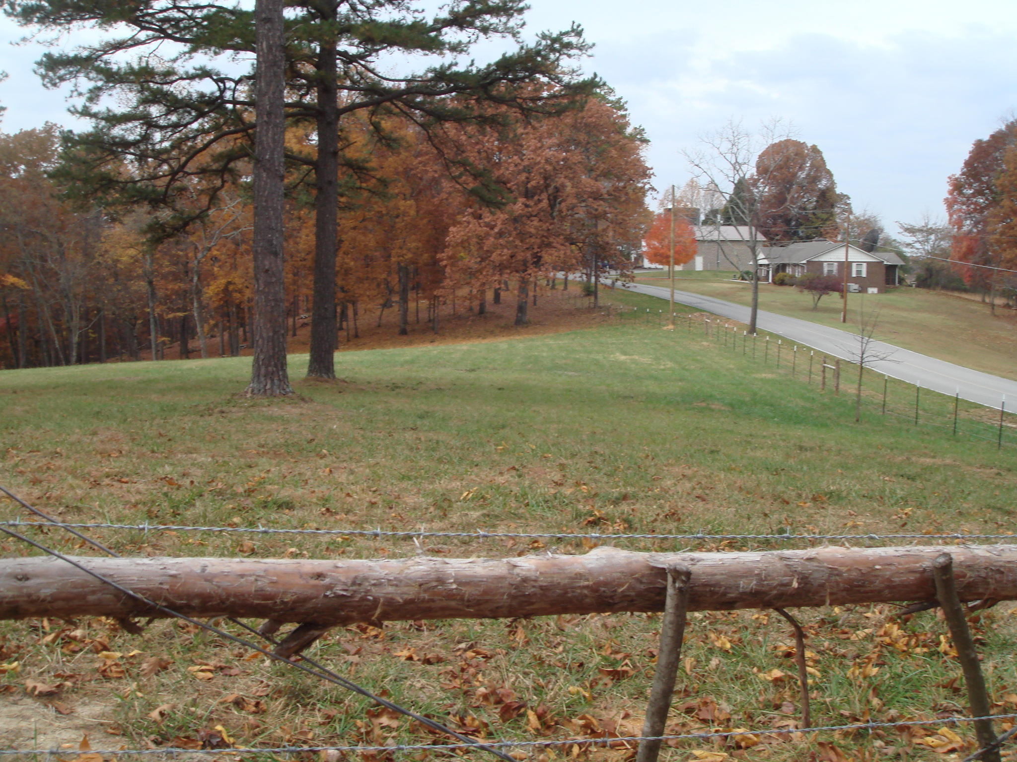 0 Watt Cemetery Road Loudon, TN 37774 - Photo 22 of 23 DSC02216