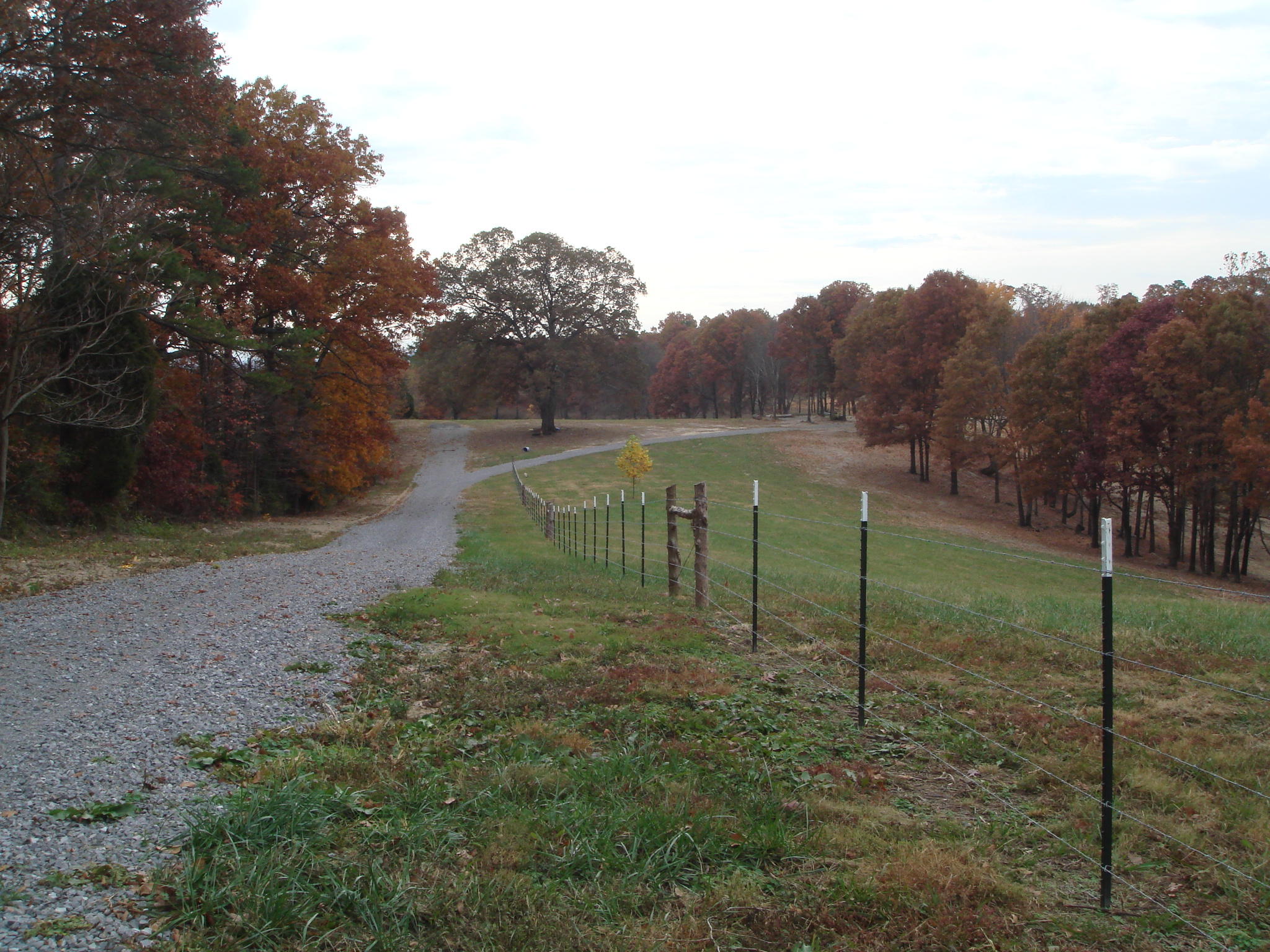 0 Watt Cemetery Road Loudon, TN 37774 - Photo 4 of 23 DSC02197