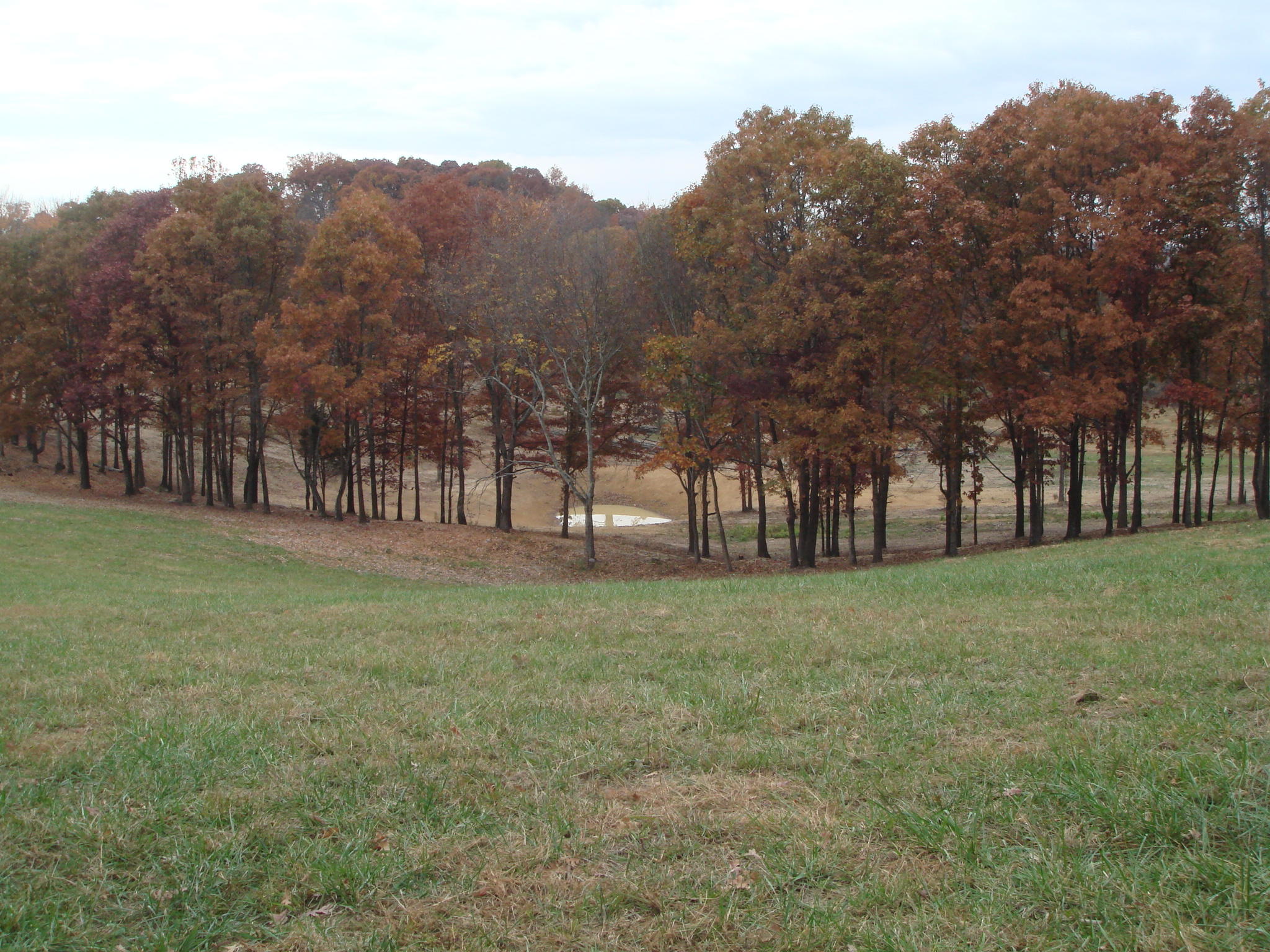 0 Watt Cemetery Road Loudon, TN 37774 - Photo 5 of 23 DSC02198 (2)
