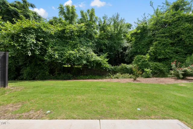 a view of a green yard