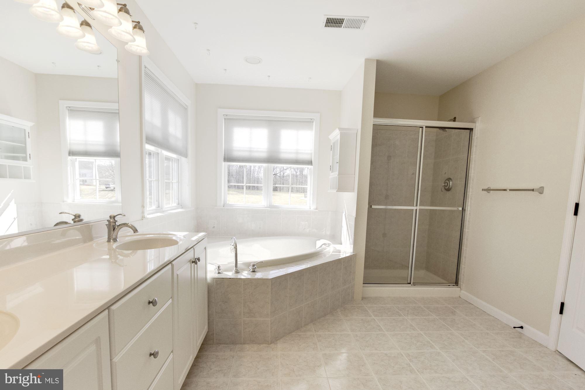 689 West Watersville Road Mount Airy, MD 21771 - Photo 28 of 50 MASTER BATHROOM