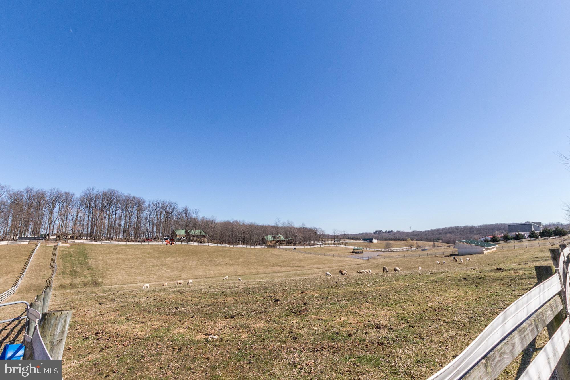689 West Watersville Road Mount Airy, MD 21771 - Photo 7 of 50 NEIGHBORING FARM