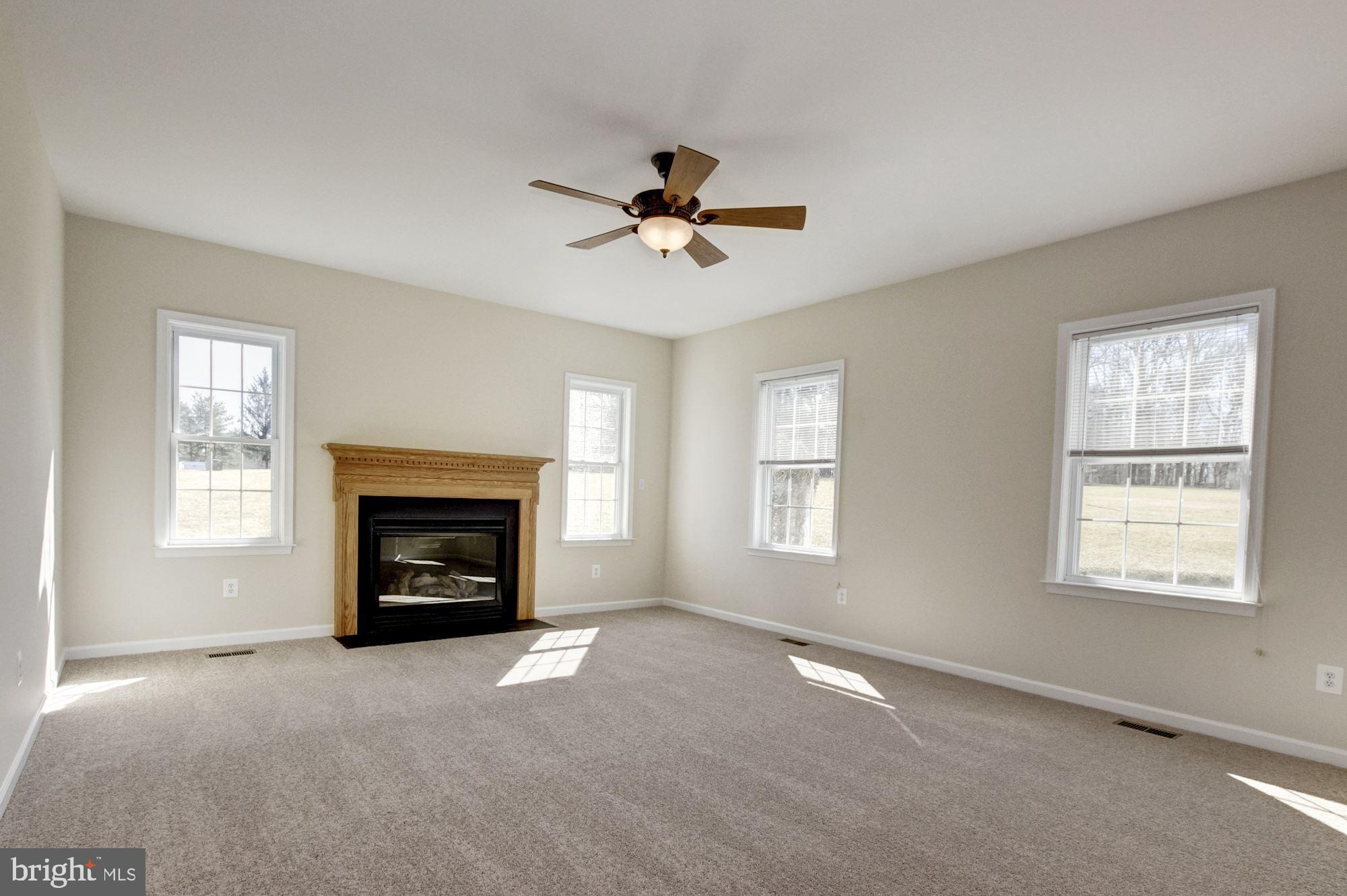 689 West Watersville Road Mount Airy, MD 21771 - Photo 10 of 50 FAMILY ROOM WITH GAS FIREPLACE OFF KITCHEN