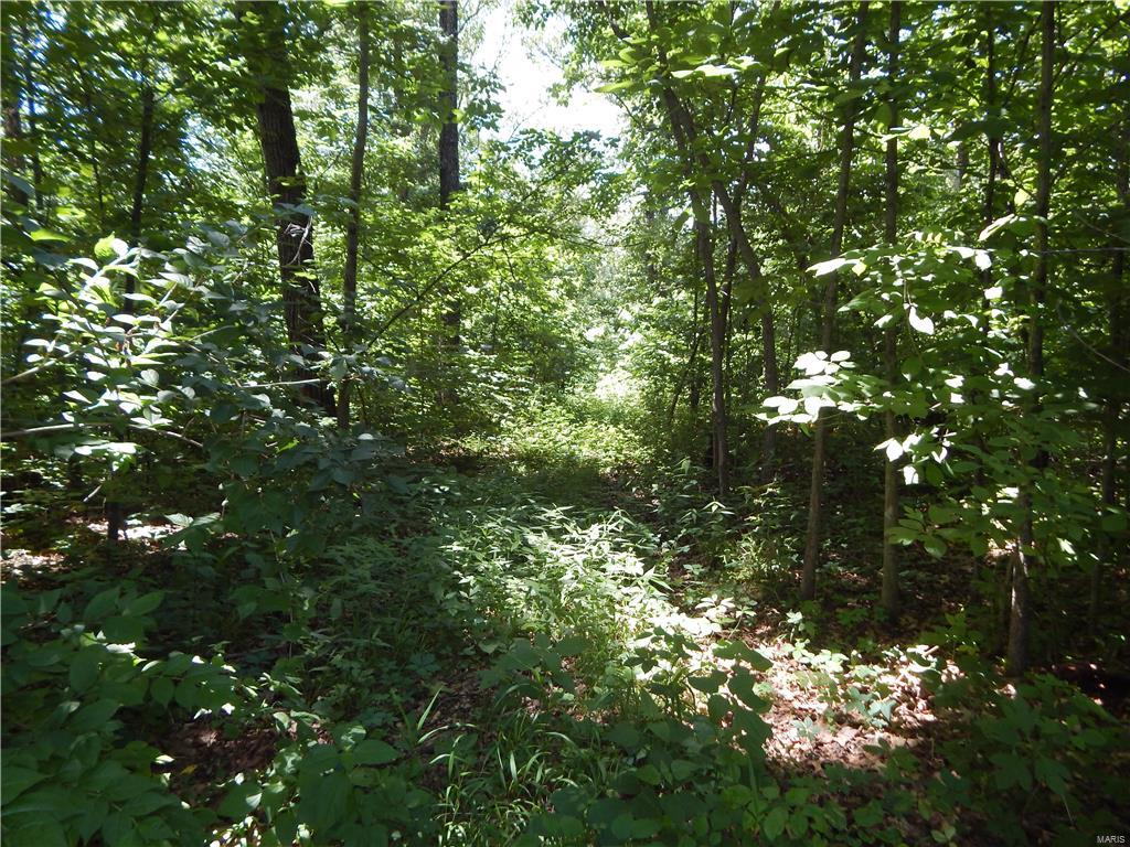 0 Branch Road Oakdale, IL 62268 - Photo 22 of 27