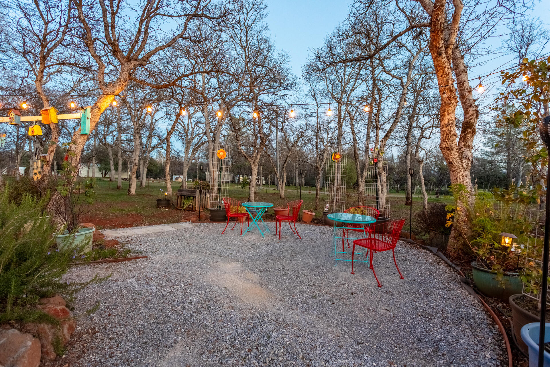 5511 Wilson Hill Road Manton, CA 96059 - Photo 27 of 71 a view of a park with large trees