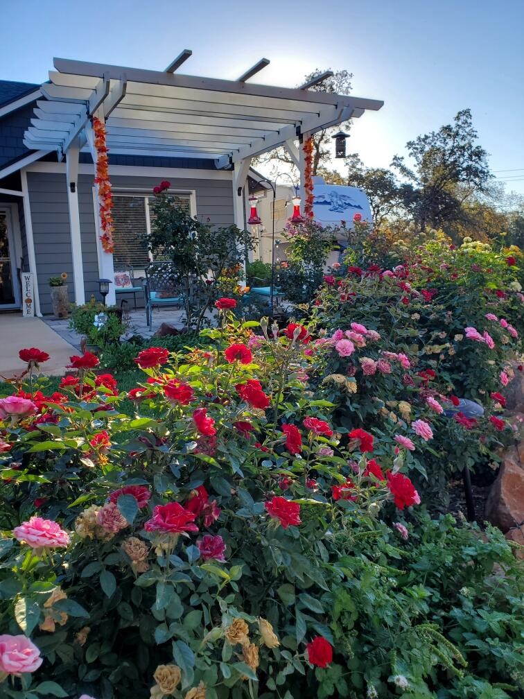 5511 Wilson Hill Road Manton, CA 96059 - Photo 32 of 71 a view of a outdoor space