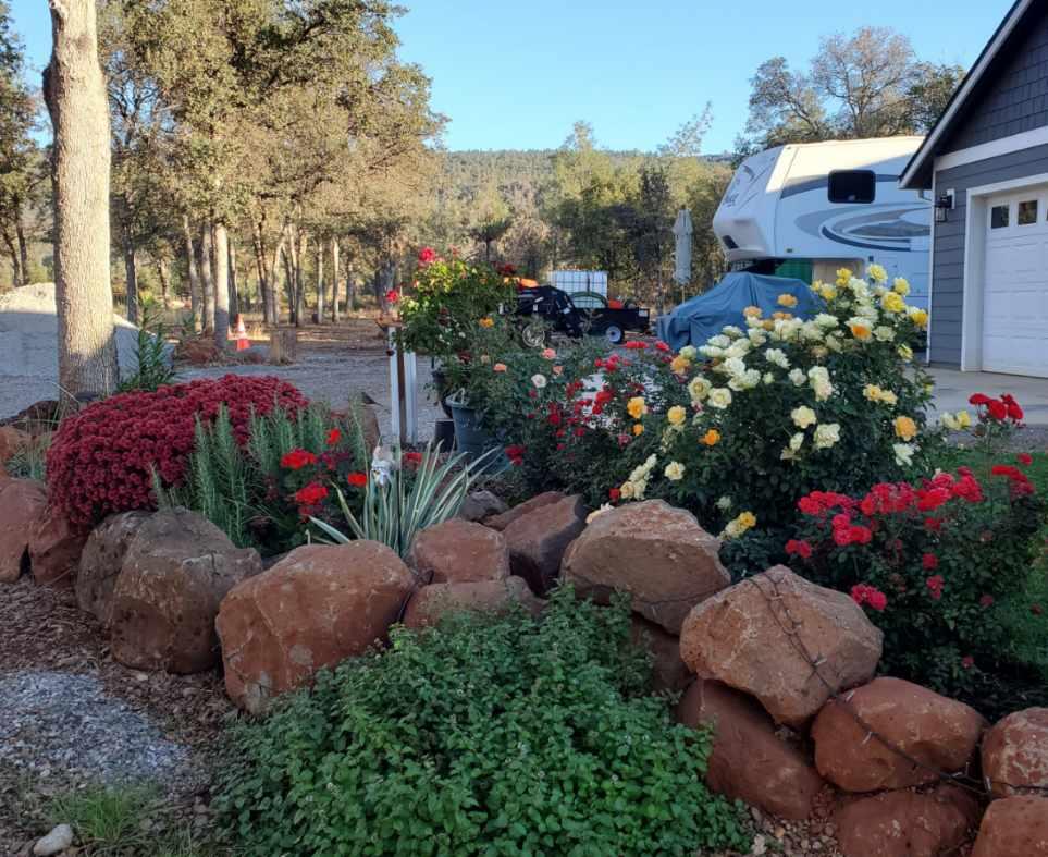 5511 Wilson Hill Road Manton, CA 96059 - Photo 34 of 71 wilson hill rd landscape