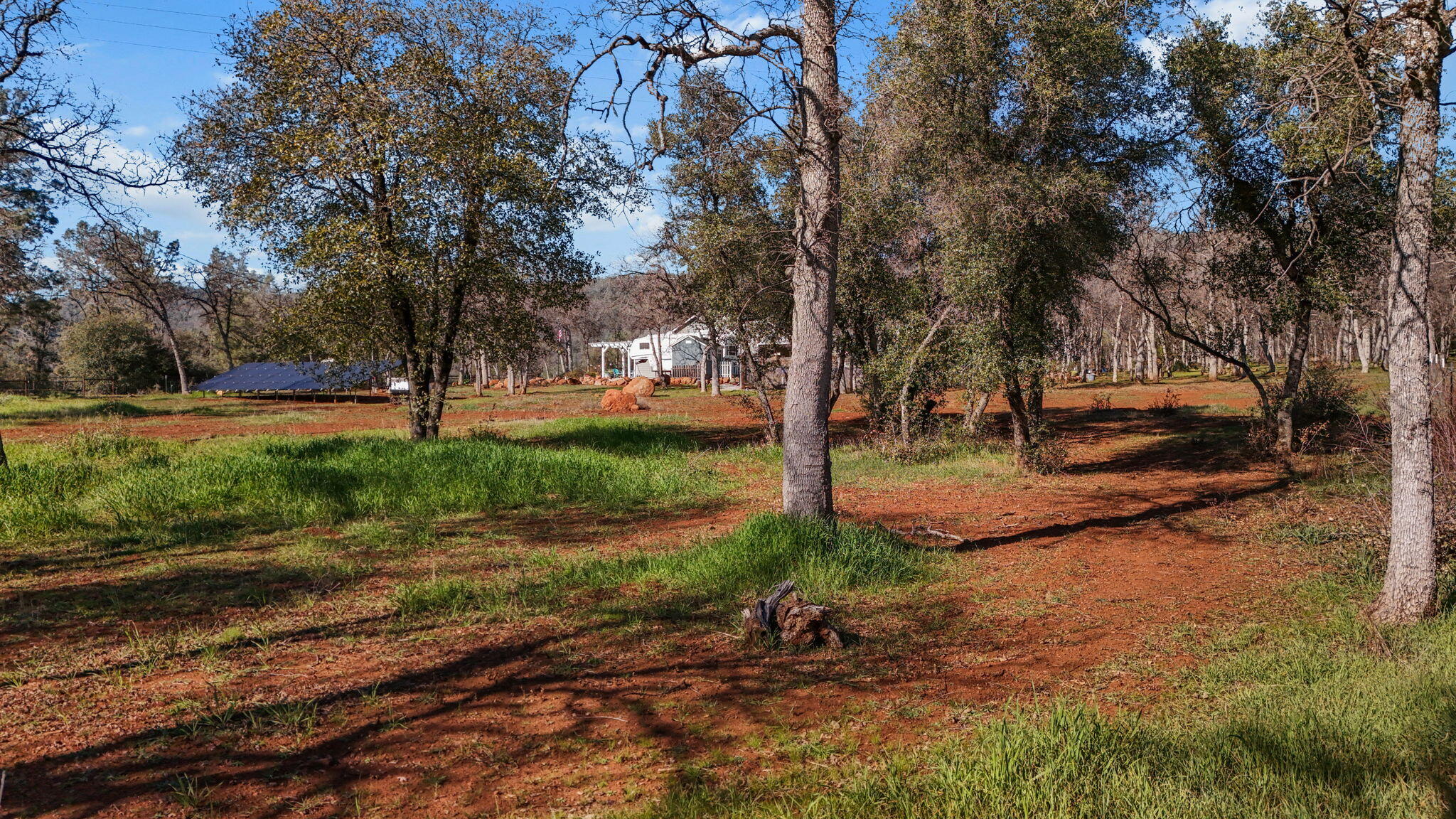 5511 Wilson Hill Road Manton, CA 96059 - Photo 56 of 71 a view of a yard with a tree