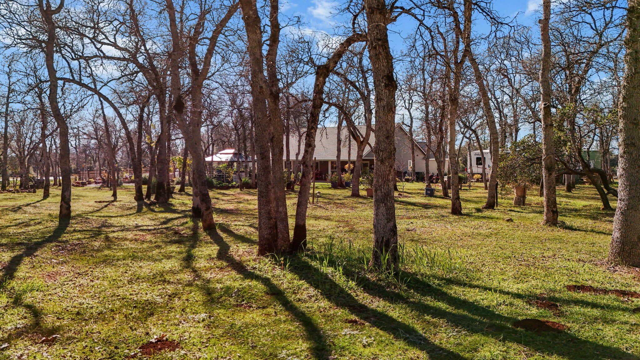 5511 Wilson Hill Road Manton, CA 96059 - Photo 57 of 71 Yard