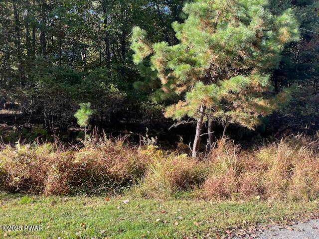 Lot 250 Squirrel Road Dingmans Ferry, PA 18328 - Photo 1 of 8