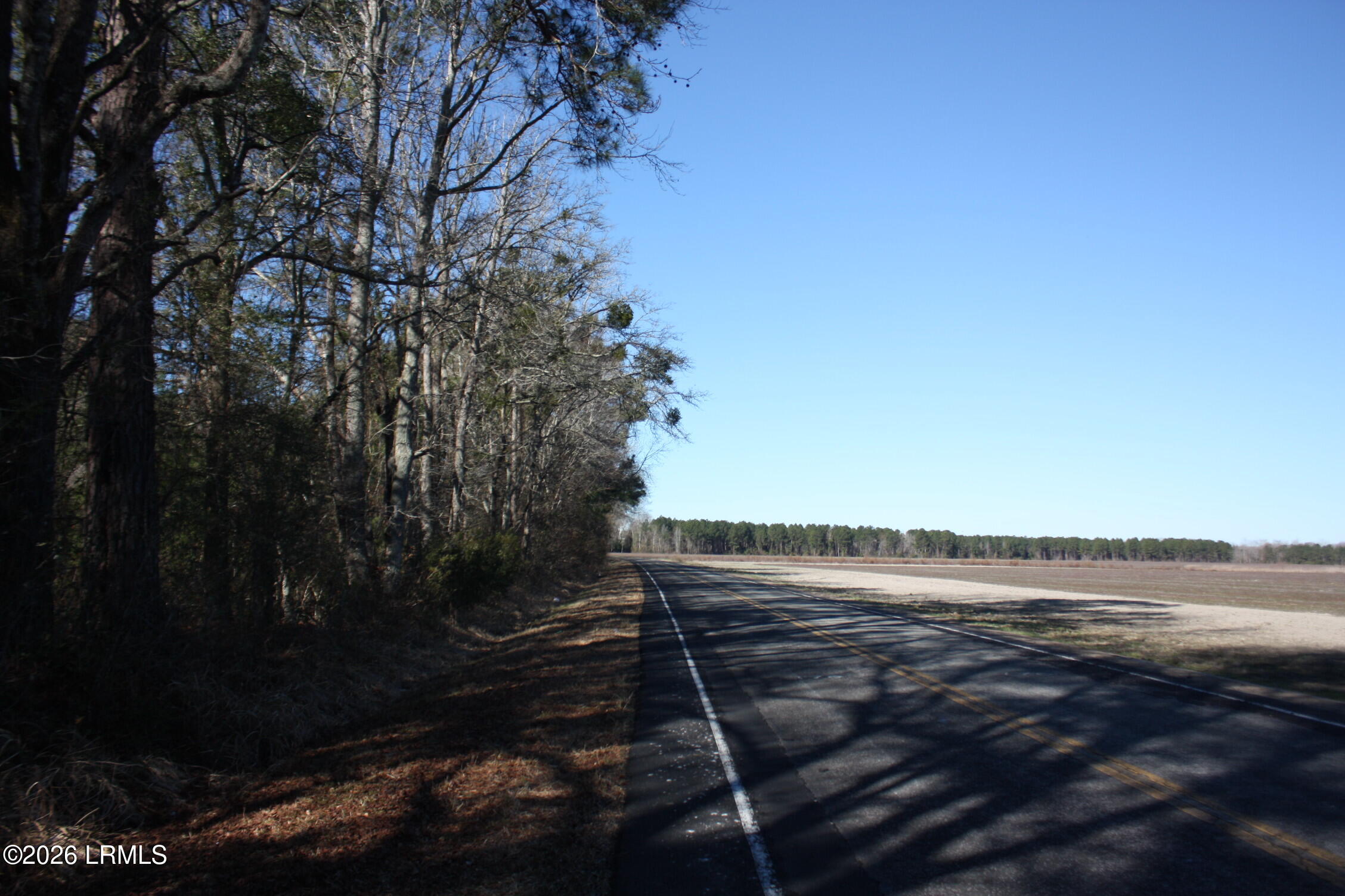 2650 Joe Miley Road Brunson, SC 29911 - Photo 8 of 13 IMG_9001