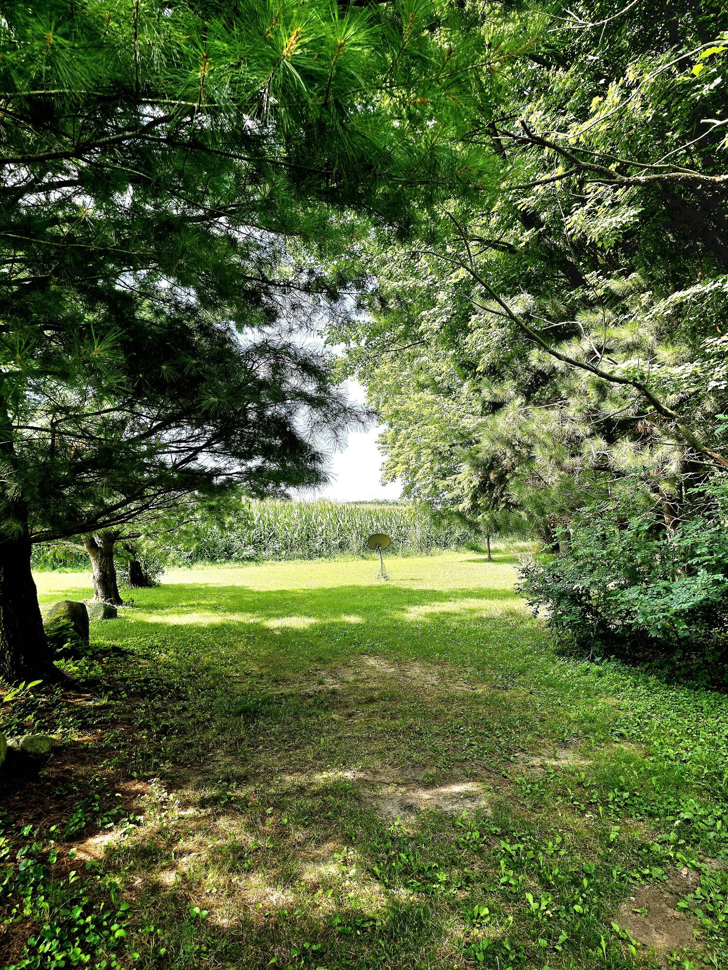 9252 Barnes Road Greenville, MI 48838 - Photo 12 of 49 20240812_113150