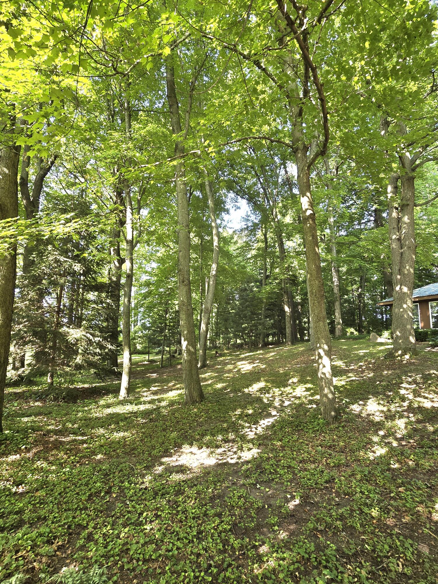 9252 Barnes Road Greenville, MI 48838 - Photo 10 of 49 20240812_100852