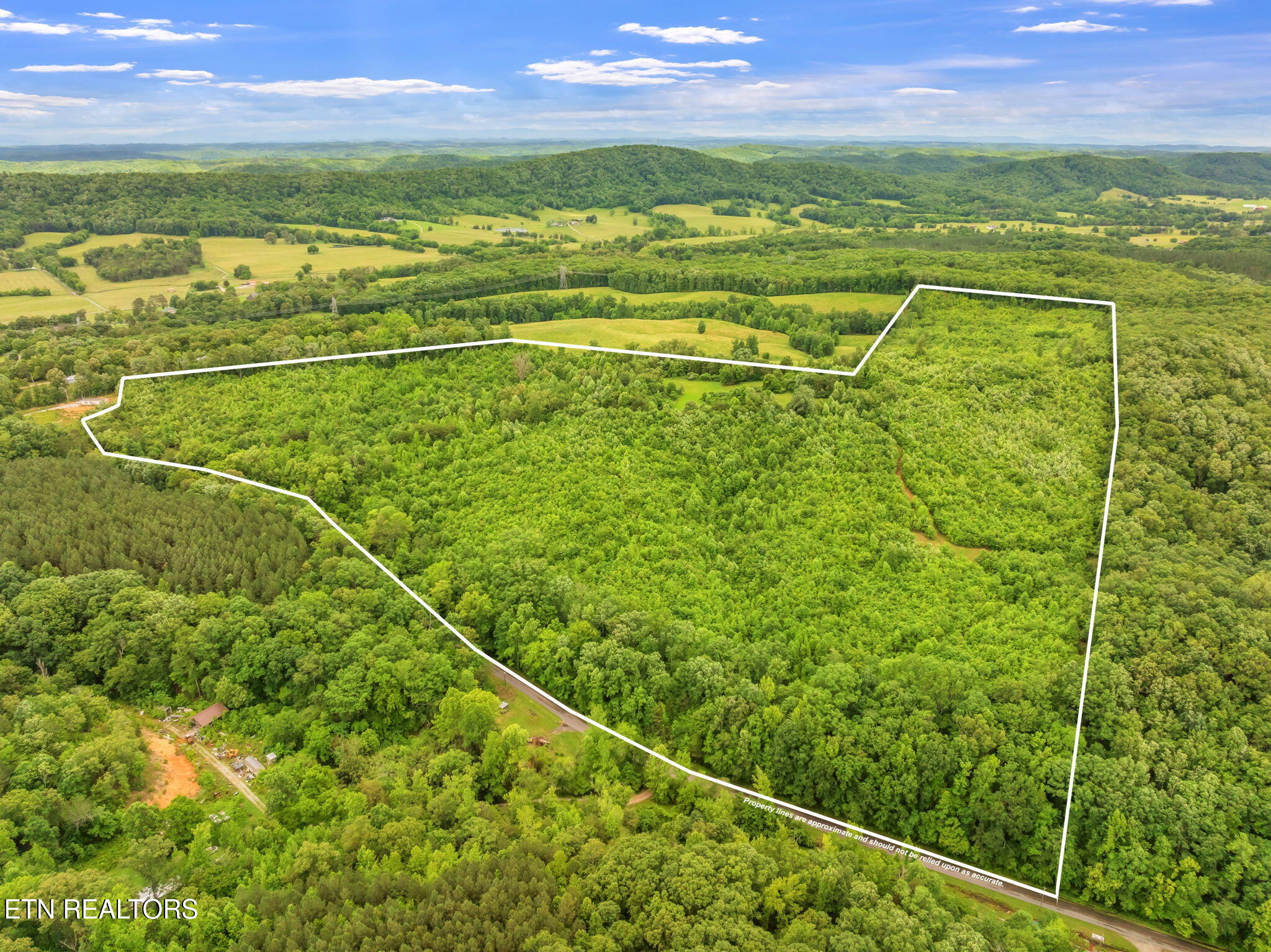 0 Grigsby Hollow Road Kingston, TN 37763 - Photo 3 of 34 20-web-or-mls-Grigsby Hollow Land-17-1