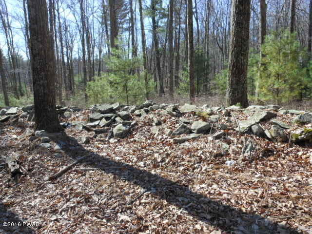 Milford Road Milford, PA 18337 - Photo 11 of 22 a view of a forest with trees in the background
