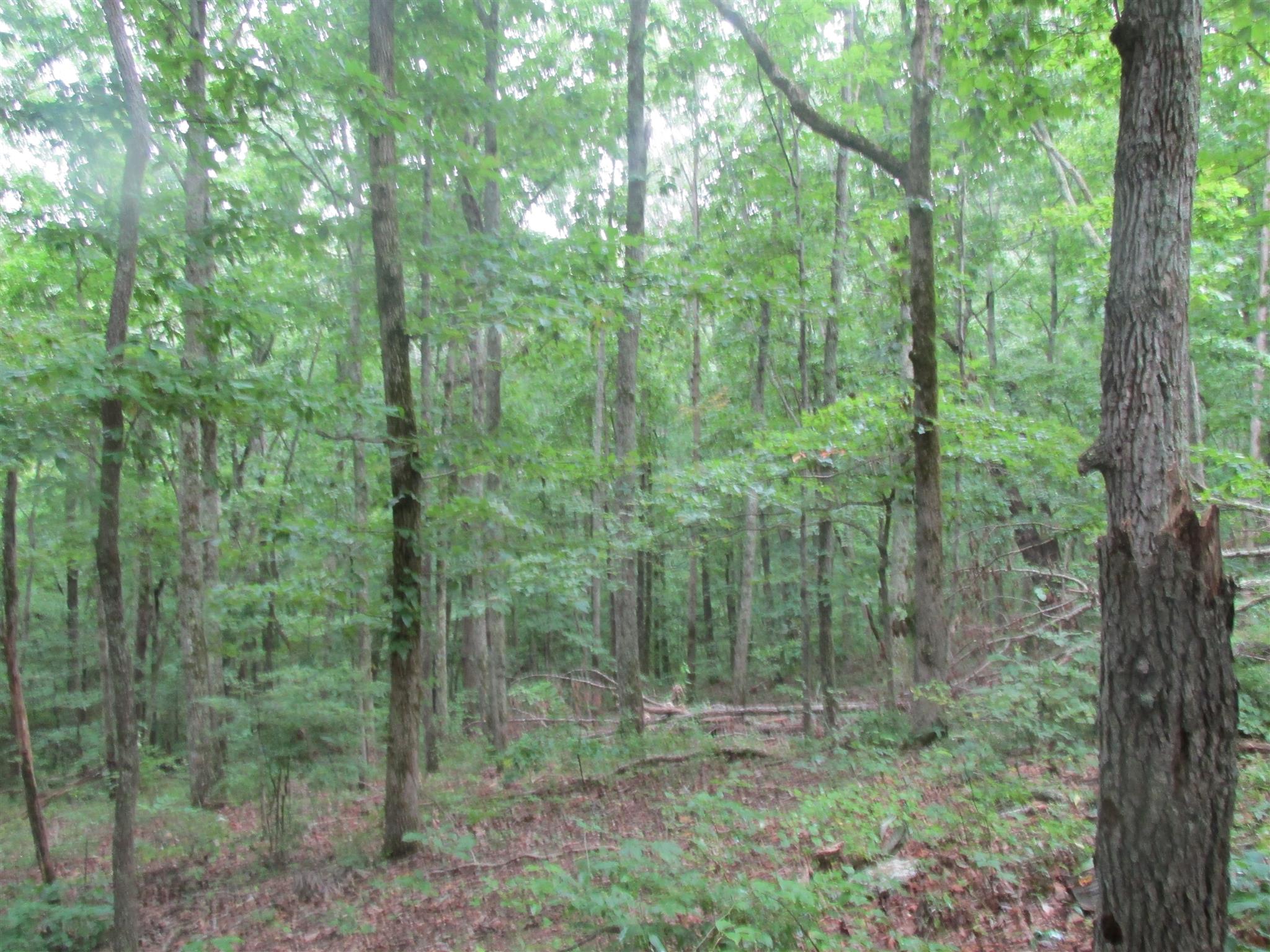 1018 East Sears Road Pegram, TN 37143 - Photo 26 of 28 Gallery Image 26