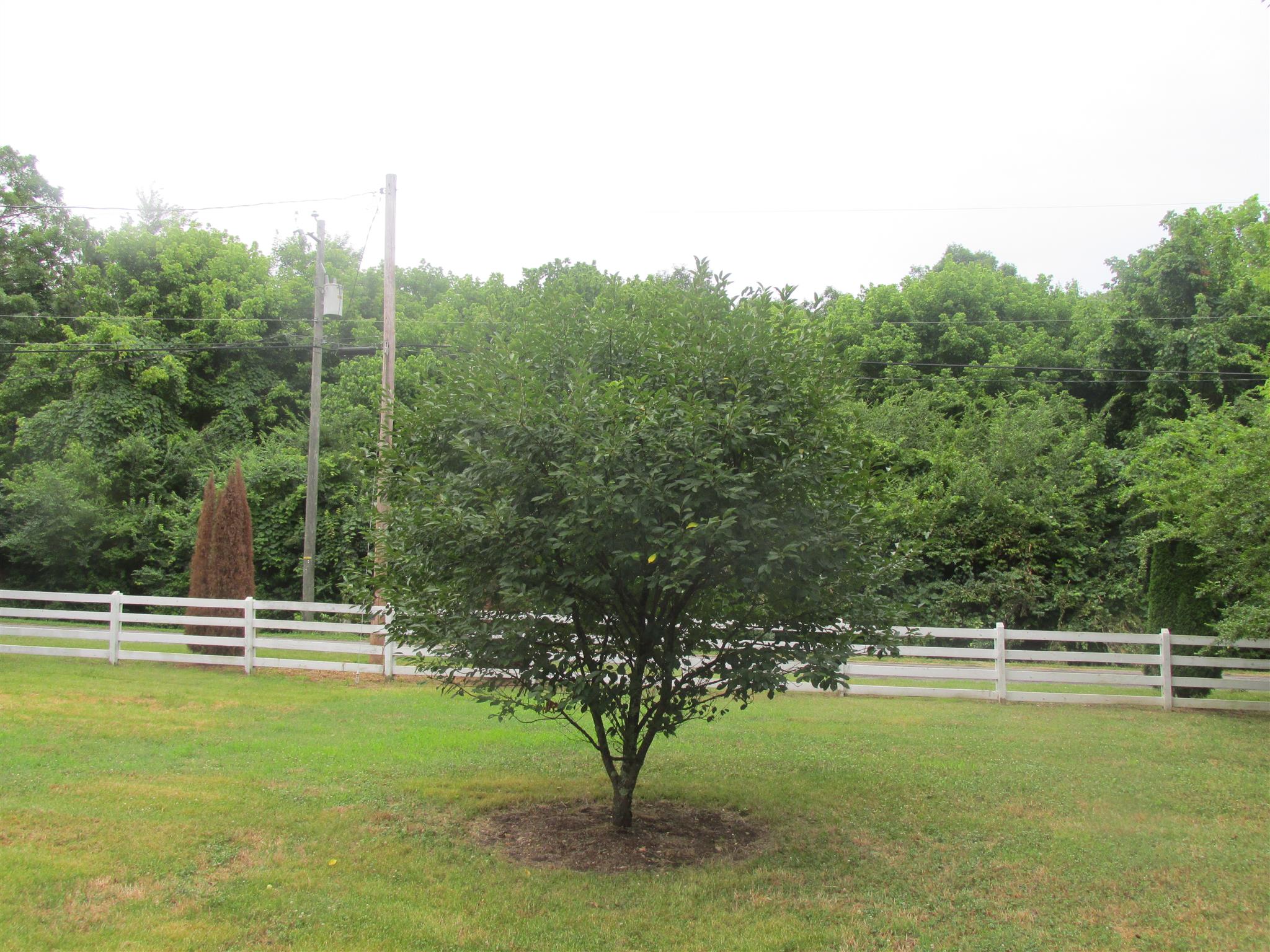 1018 East Sears Road Pegram, TN 37143 - Photo 28 of 28 Gallery Image 28