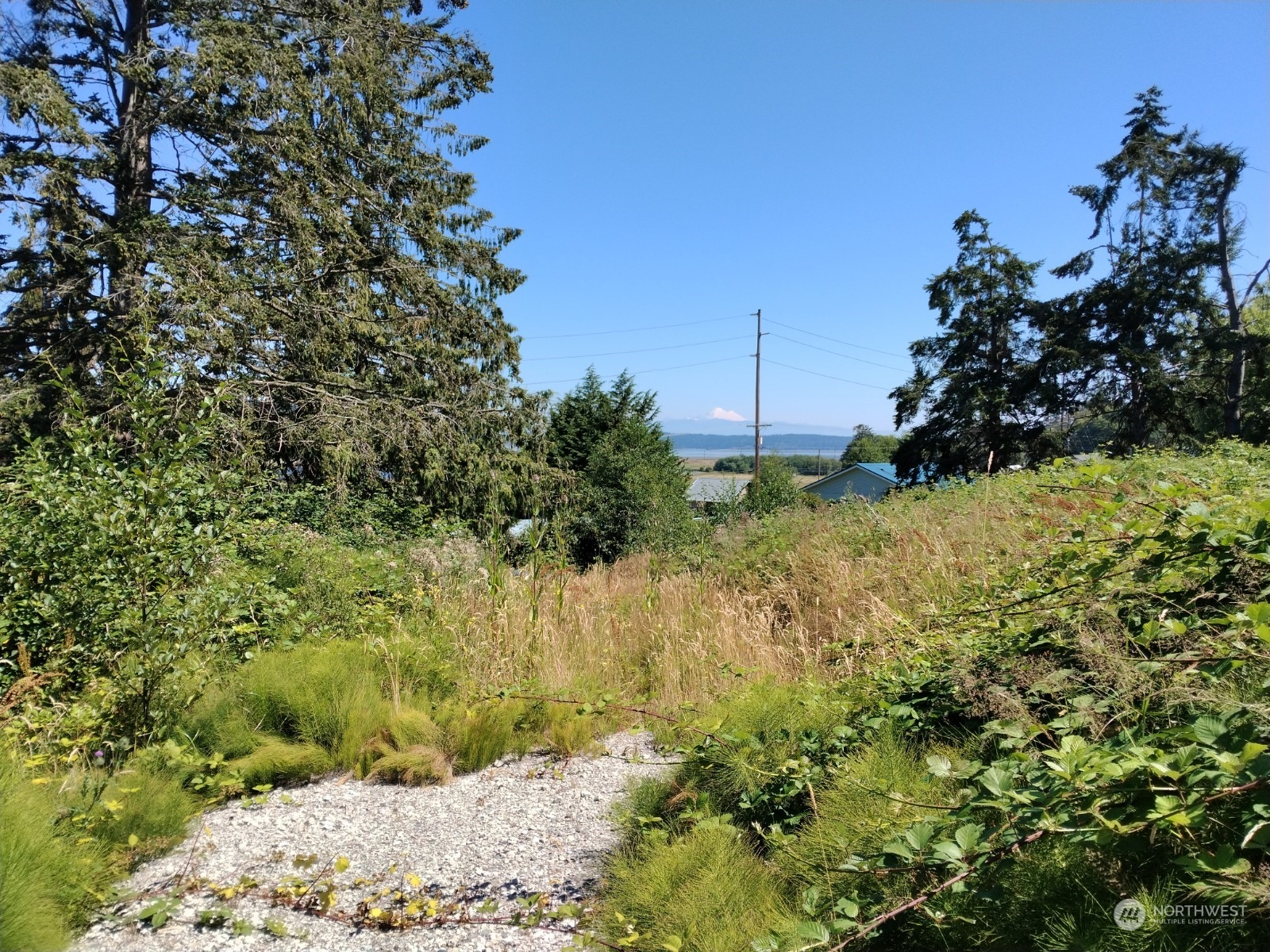 156 East Frostad Road Oak Harbor, WA 98277 - Photo 5 of 5 Gallery Image 5