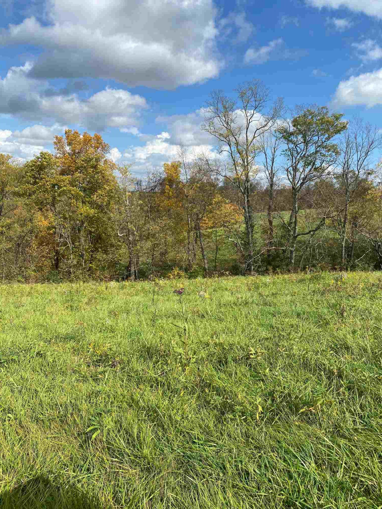 273 South Bluegrass Road Brooksville, KY 41004 - Photo 20 of 26 Gallery Image 20