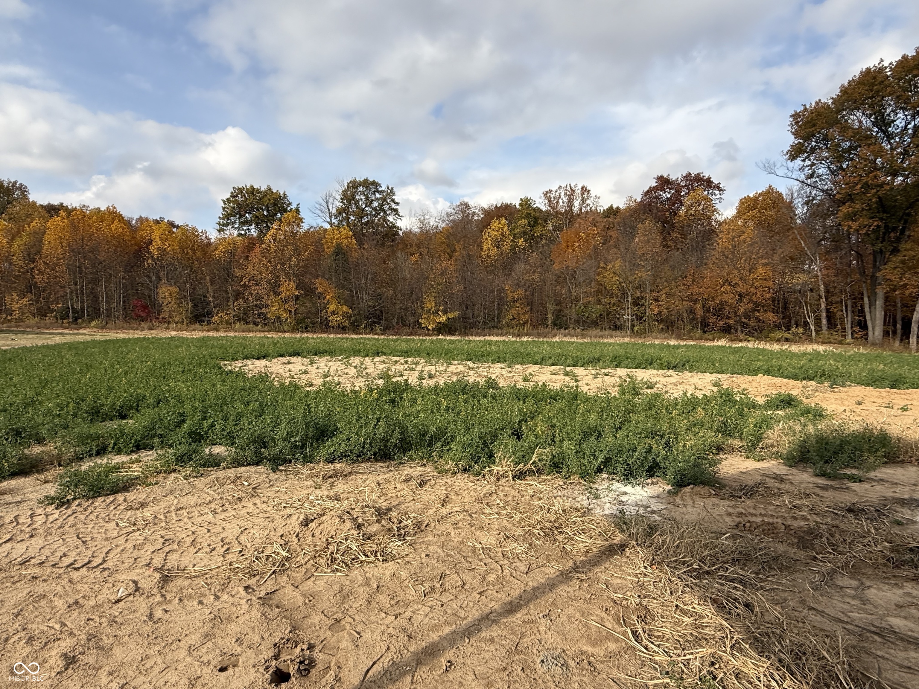 2532 Grubb Lane Covington, IN 47932 - Photo 4 of 16