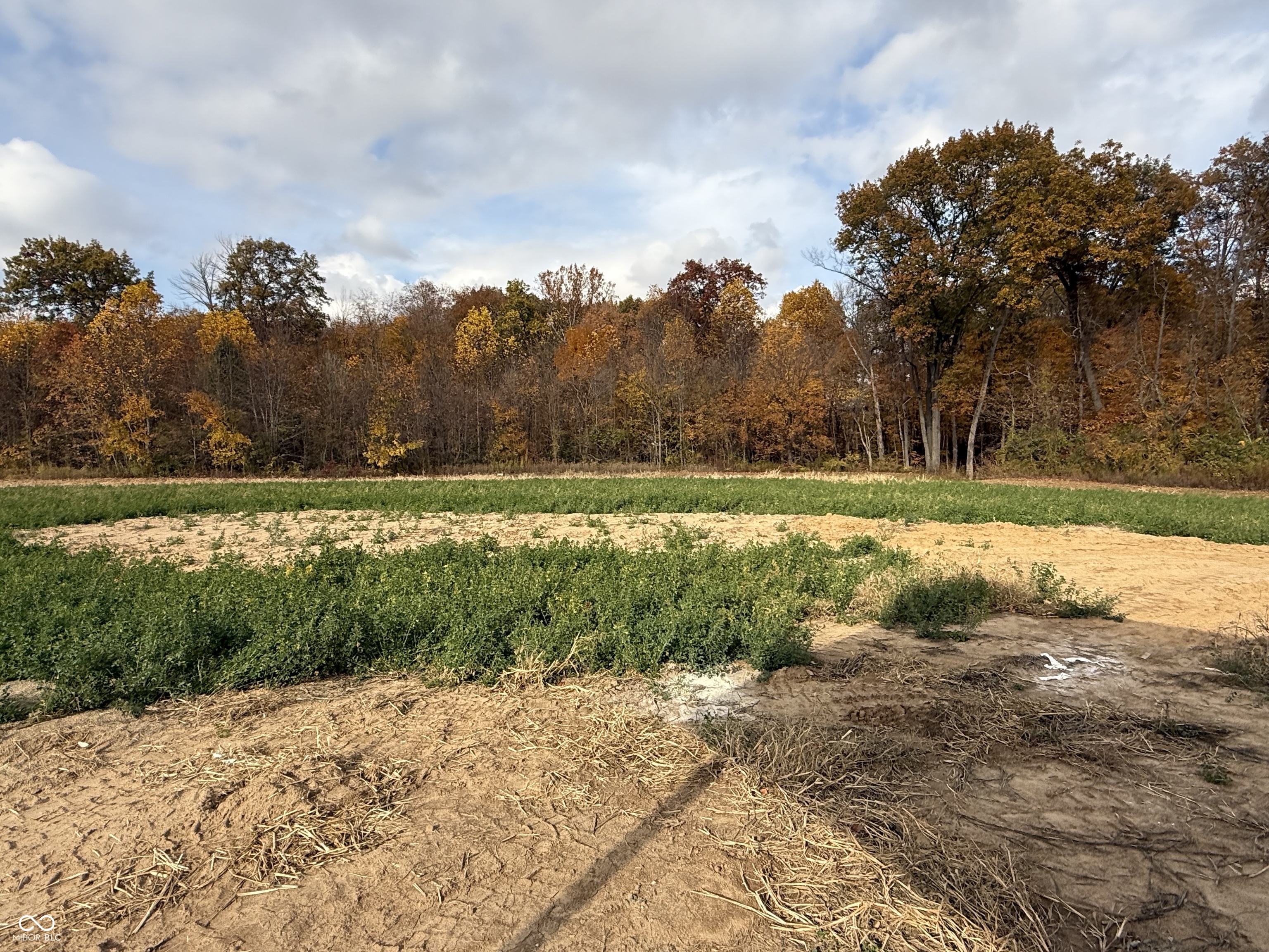 2532 Grubb Lane Covington, IN 47932 - Photo 5 of 16