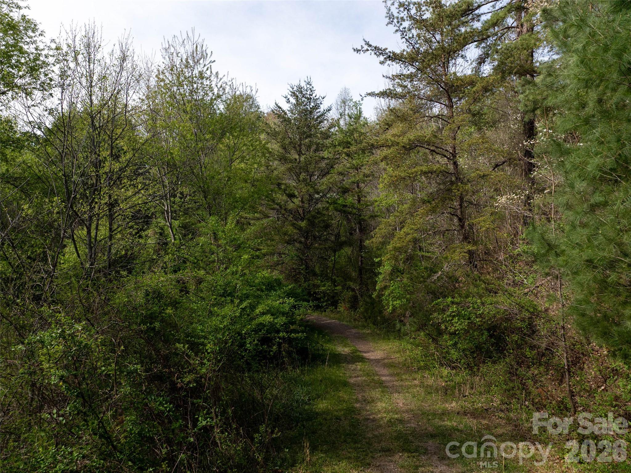 Lot 43 Sunnybrook Trail Clyde, NC 28721 - Photo 11 of 11 a view of a lake view