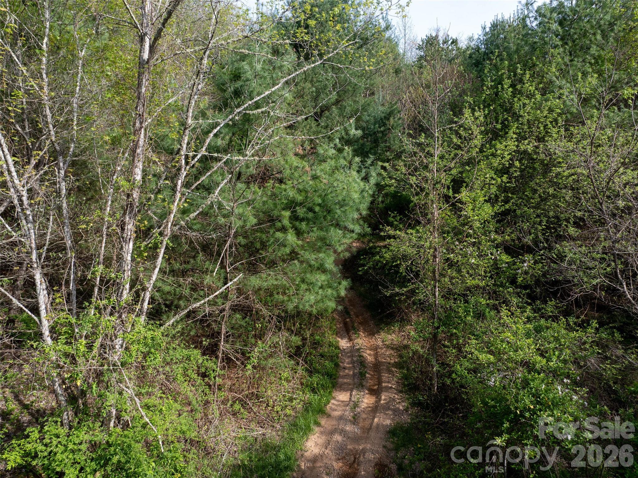 Lot 43 Sunnybrook Trail Clyde, NC 28721 - Photo 8 of 11 a view of a forest
