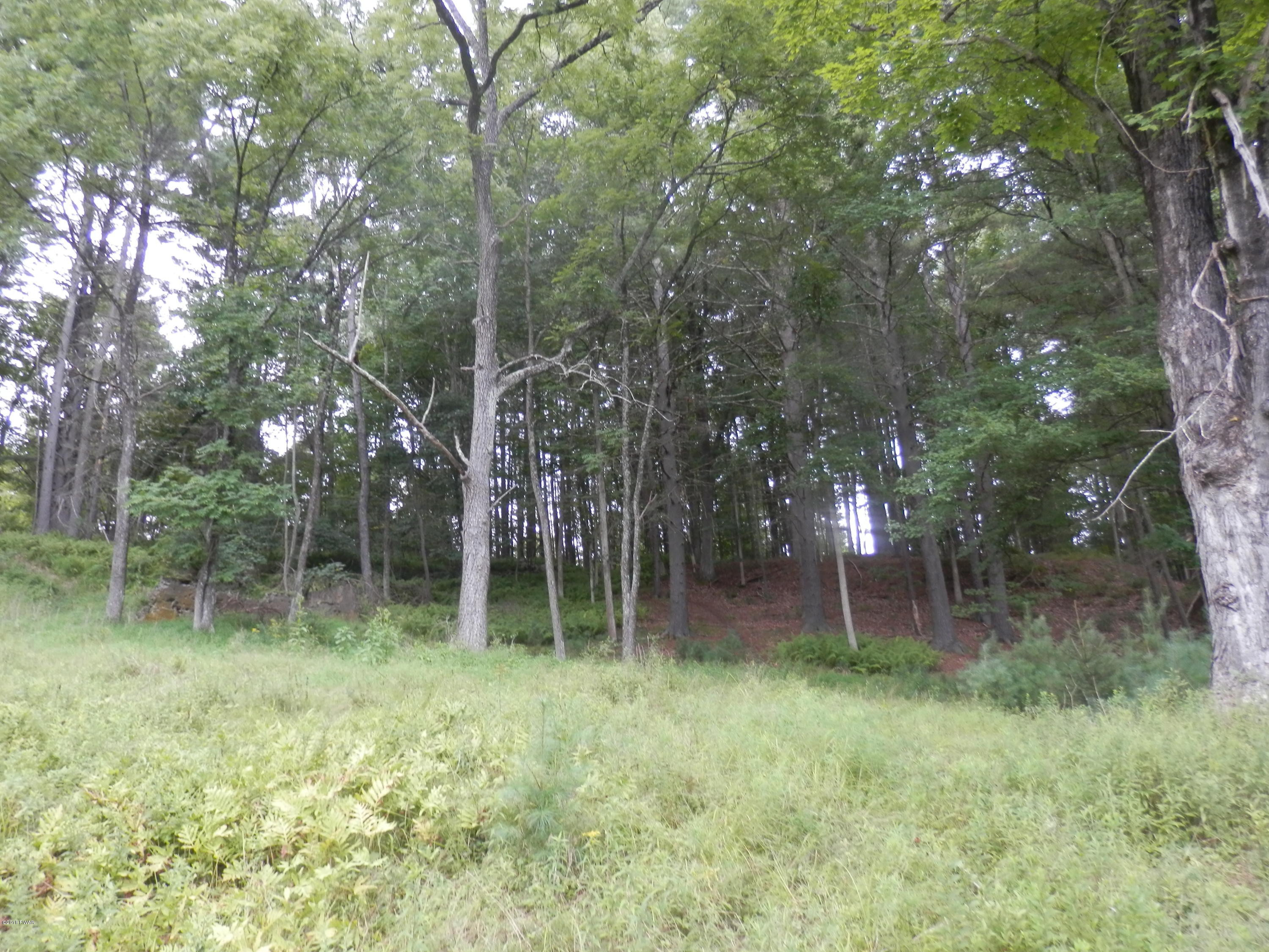 140 Hotel Road Hawley, PA 18428 - Photo 19 of 24 034