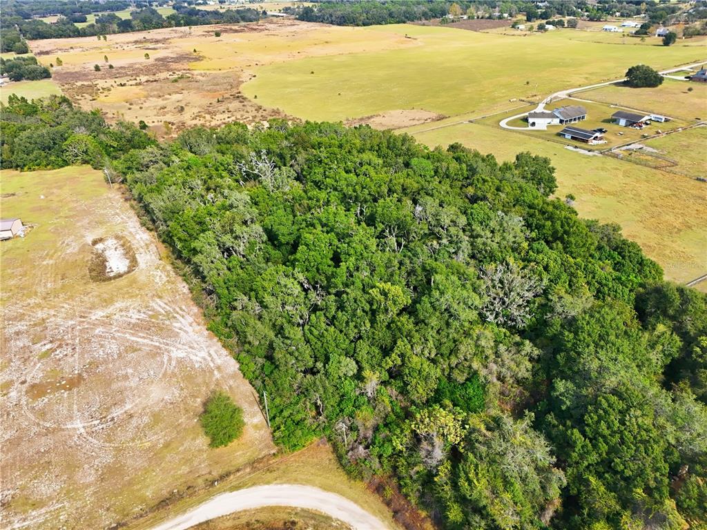 Curle Road Eustis, FL 32736 - Photo 1 of 4