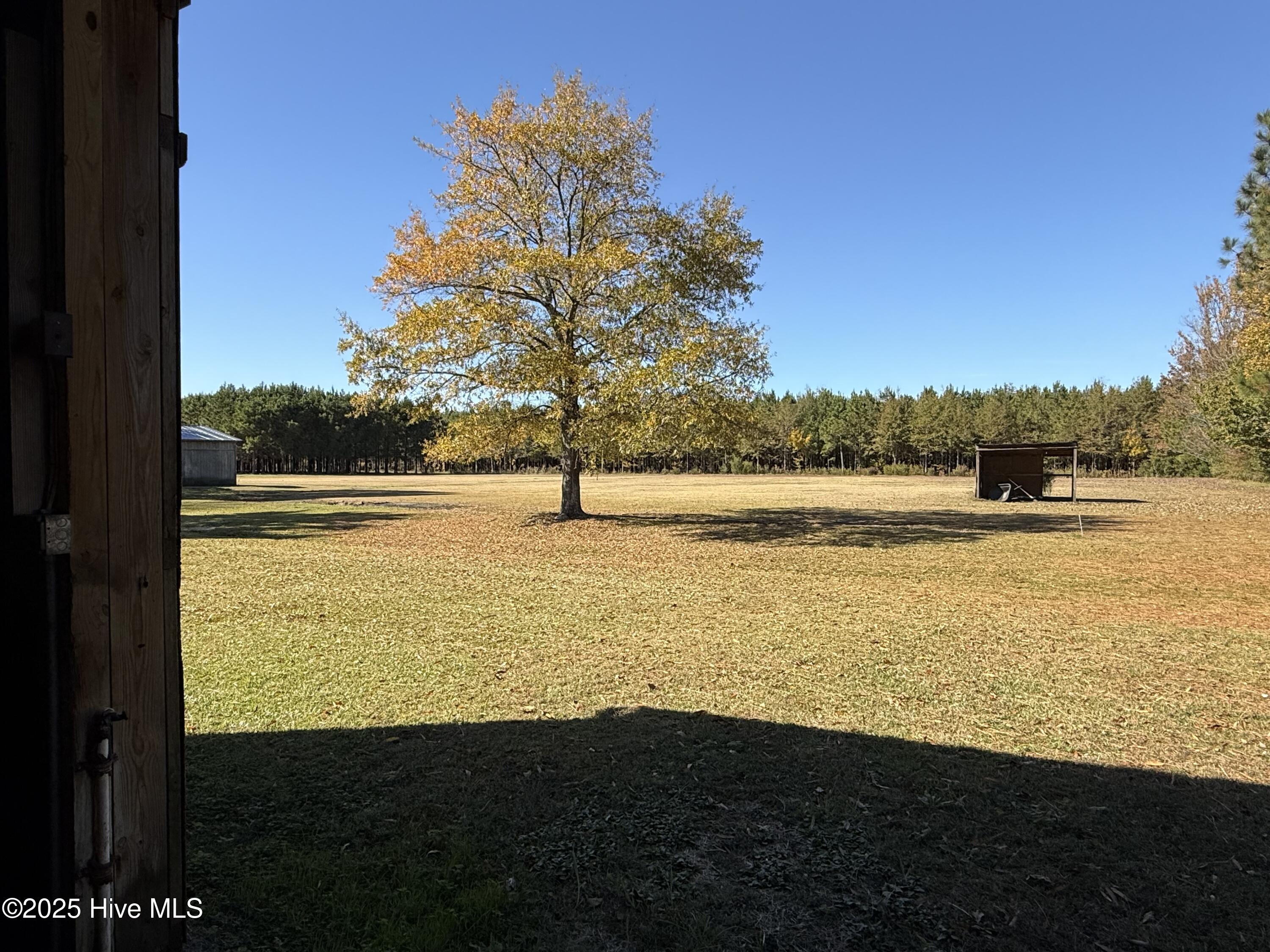 1722 Hollis Road Plymouth, NC 27962 - Photo 15 of 20 Pasture