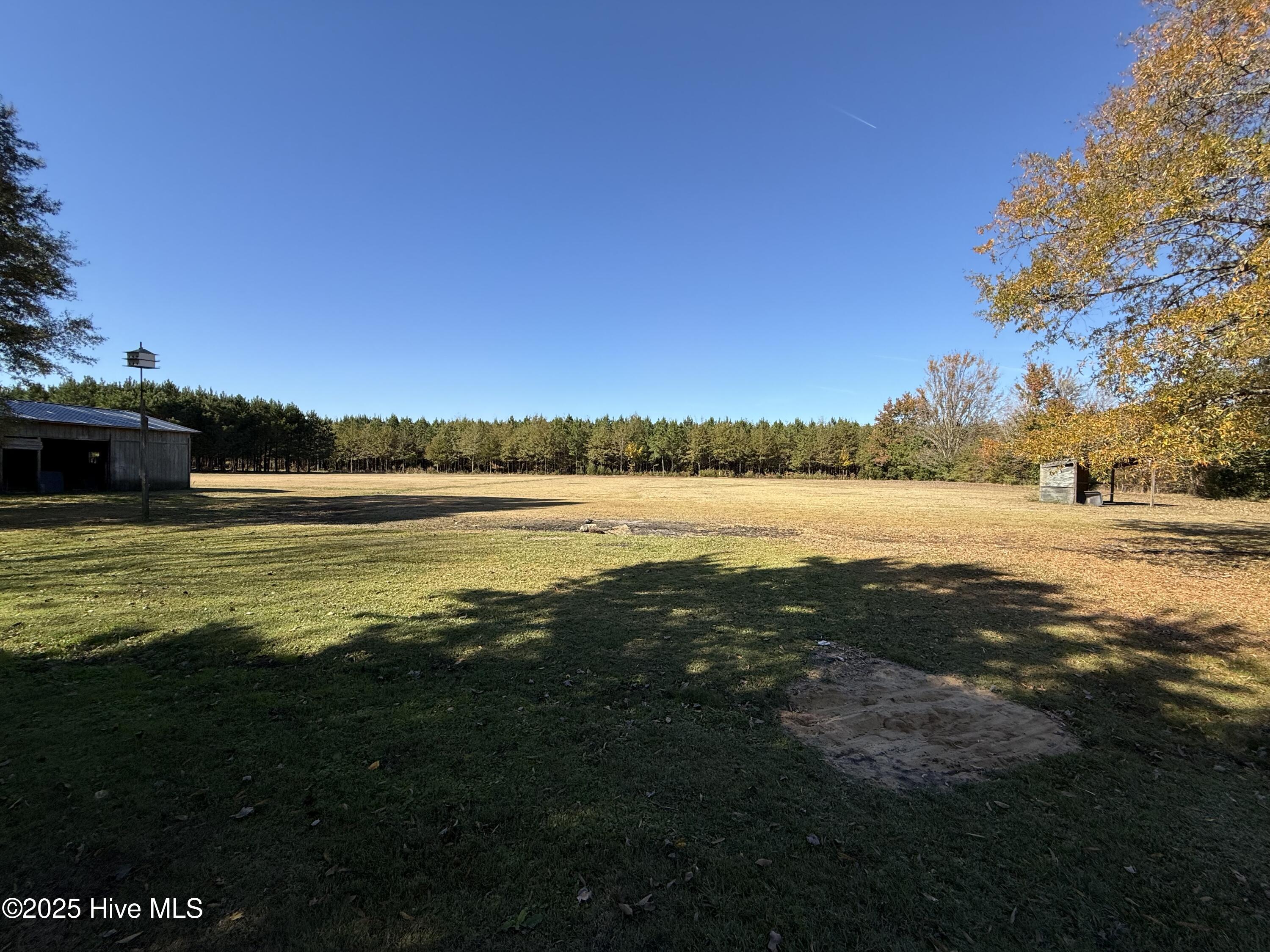 1722 Hollis Road Plymouth, NC 27962 - Photo 16 of 20 Pasture