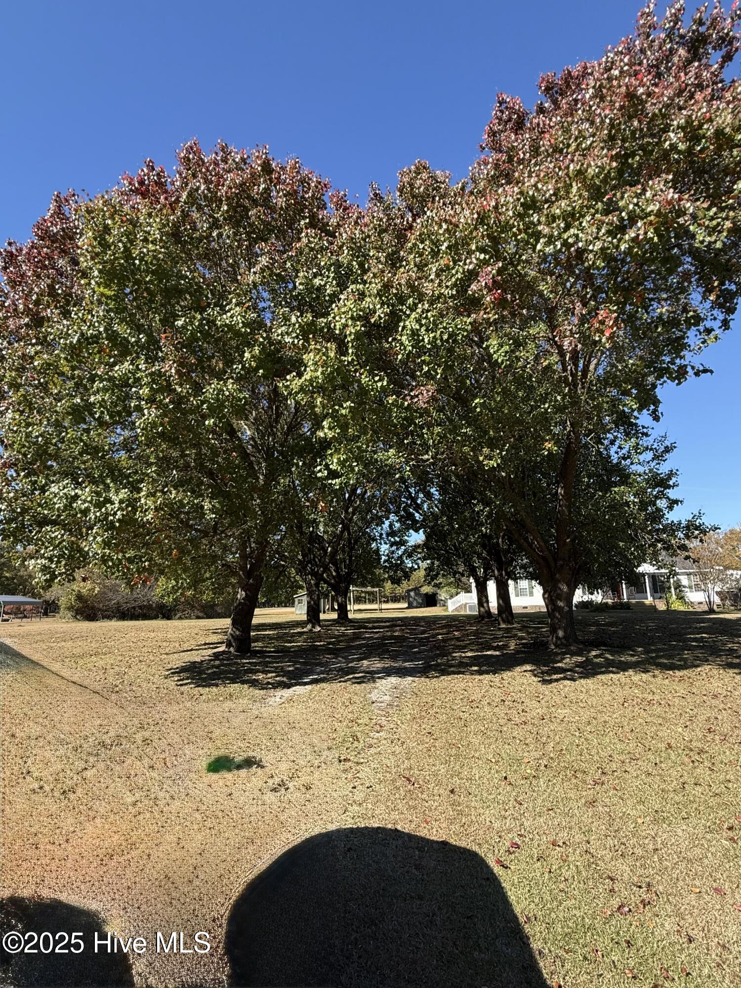1722 Hollis Road Plymouth, NC 27962 - Photo 3 of 20 Front Driveway
