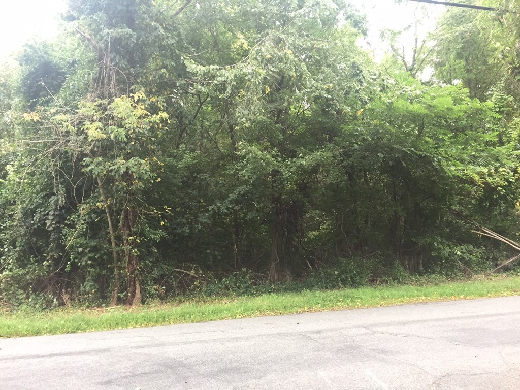 248 Spring Street Shrewsbury, MA 01545 - Photo 4 of 6