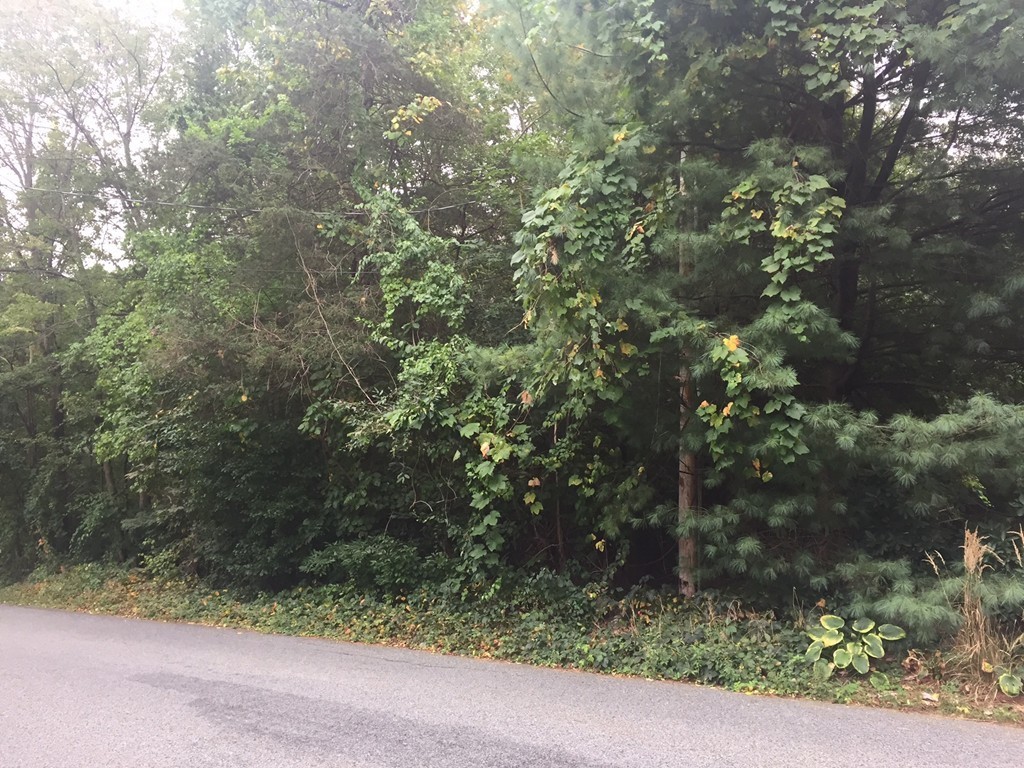 248 Spring Street Shrewsbury, MA 01545 - Photo 6 of 6