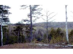 14 Ellis Ridge Road Bartlett, NH 03838 - Photo 4 of 5 Gallery Image 4