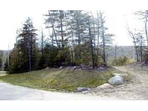 14 Ellis Ridge Road Bartlett, NH 03838 - Photo 5 of 5 Gallery Image 5