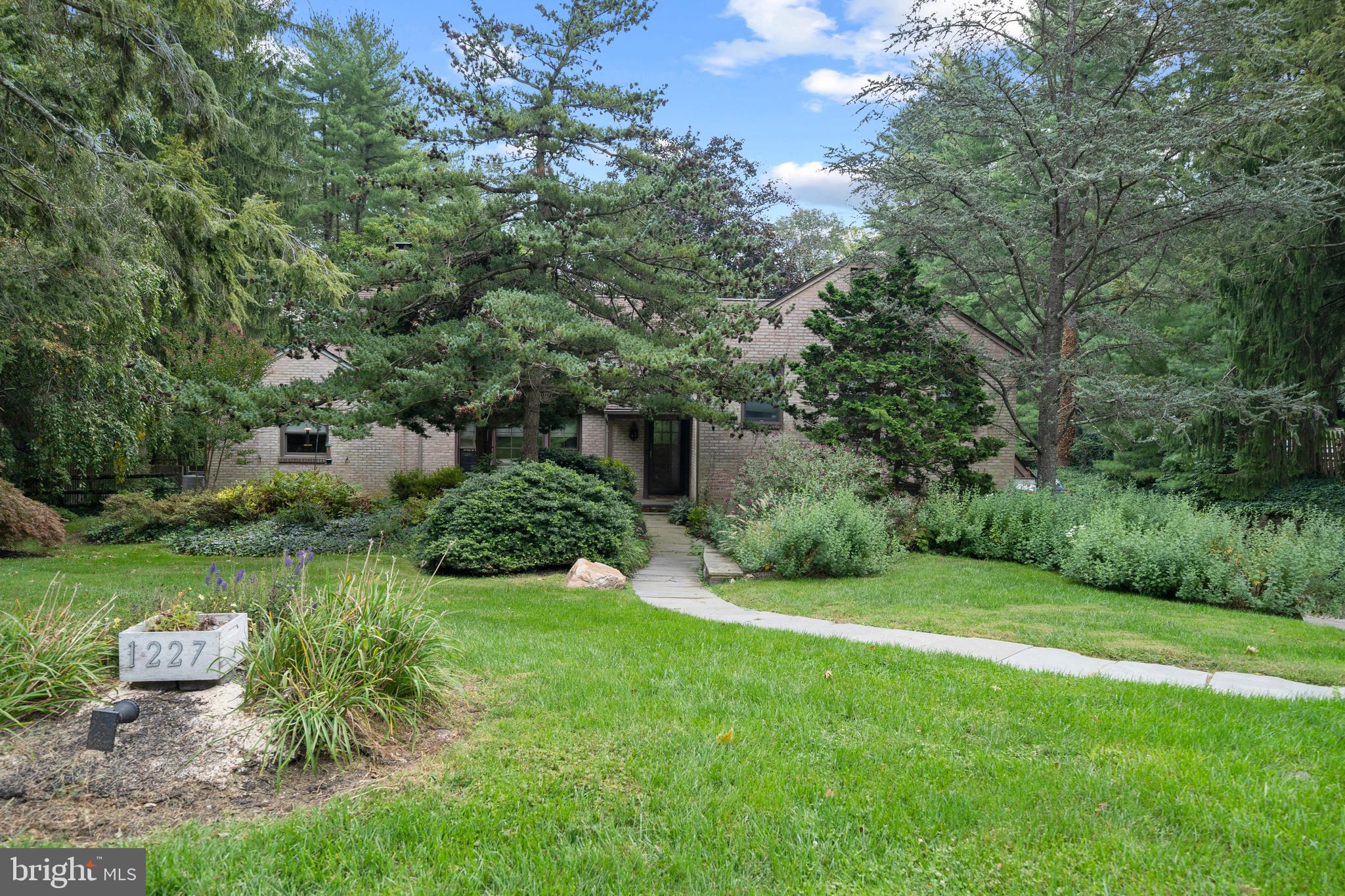 a view of a garden with potted plants and large trees