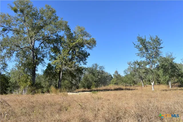 a view of dirt yard with a tree