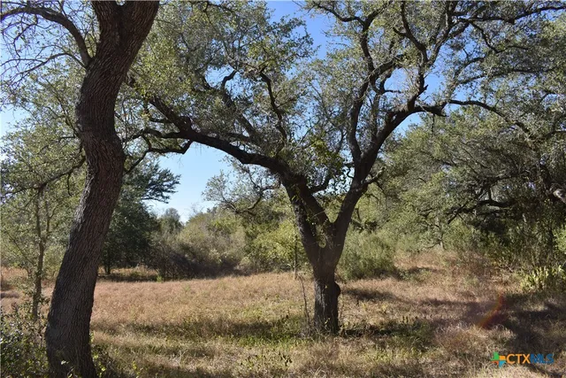 a view of mountain view with lots of trees