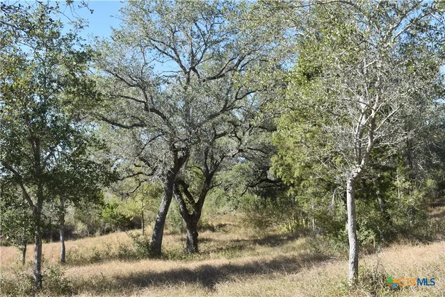a view of a yard with trees