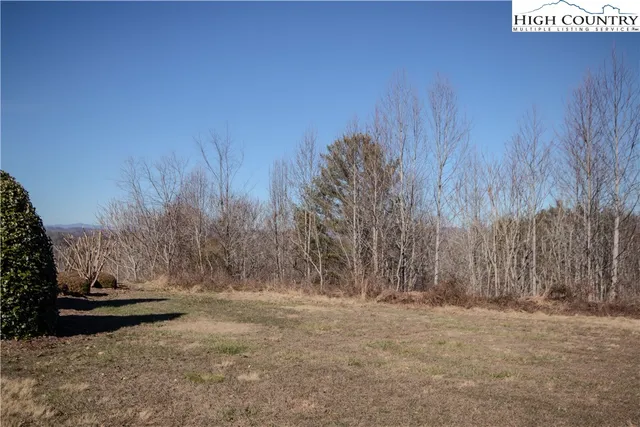 a view of outdoor space with trees